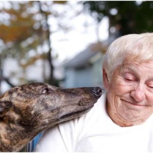 ageing in place with pets